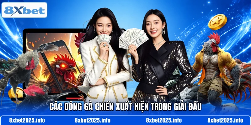 Các dòng gà chiến xuất hiện trong giải đấu