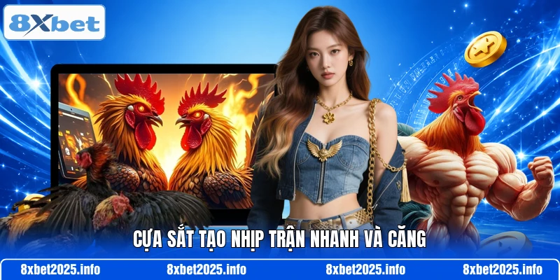 Cựa sắt tạo nhịp trận nhanh và căng