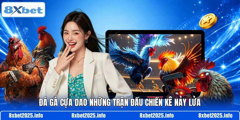 Đá gà cựa dao những trận đấu chiến kê nảy lửa