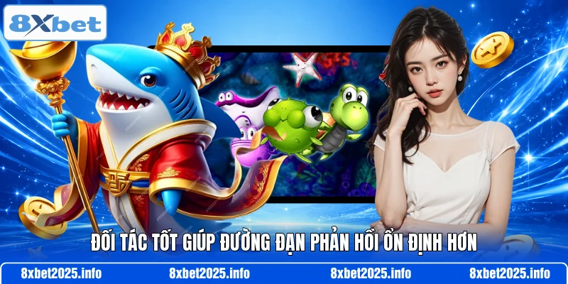 Đối tác tốt giúp đường đạn phản hồi ổn định hơn