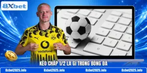 Kèo chấp 1/2 là gì trong bóng đá