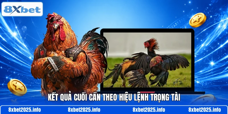 Kết quả cuối cần theo hiệu lệnh trọng tài