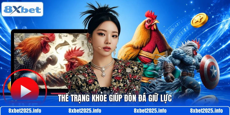 Thể trạng khỏe giúp đòn đá giữ lực